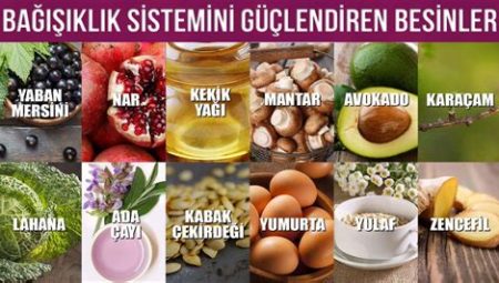 Bağışıklık Sistemini Güçlendiren Besinler